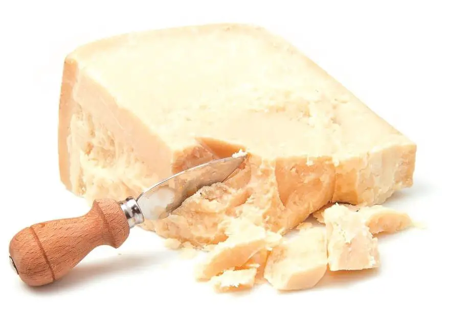 ¿Cuál es la diferencia entre el queso sardo y el reggianito?